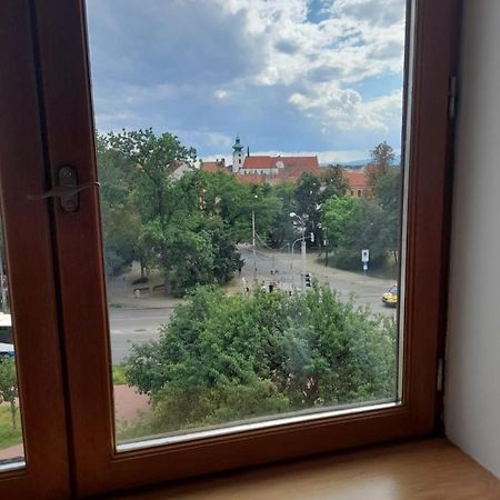 Riegrova Lägenhet Ceske Budejovice Exteriör bild
