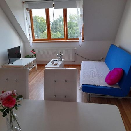 Riegrova Lägenhet Ceske Budejovice Exteriör bild