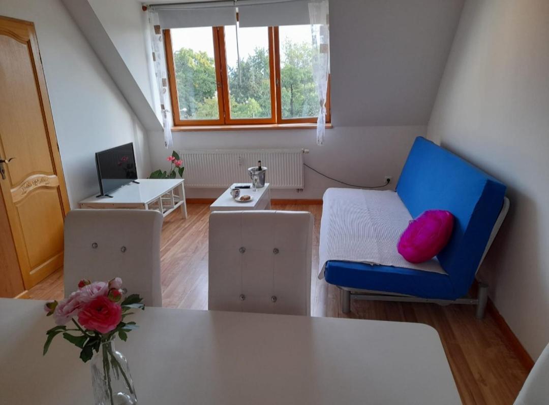 Riegrova Lägenhet Ceske Budejovice Exteriör bild